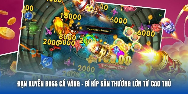 Đạn Xuyên Boss Cá Vàng - Bí Kíp Săn Thưởng Lớn Từ Cao Thủ