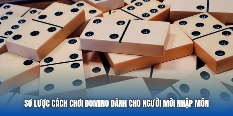Cách để thông thạo luật chơi Domino trong lòng bàn tay