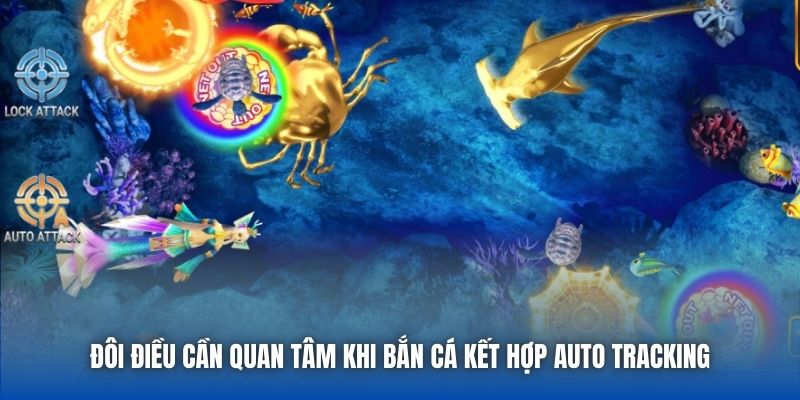 Đôi điều cần quan tâm khi bắn cá kết hợp auto tracking