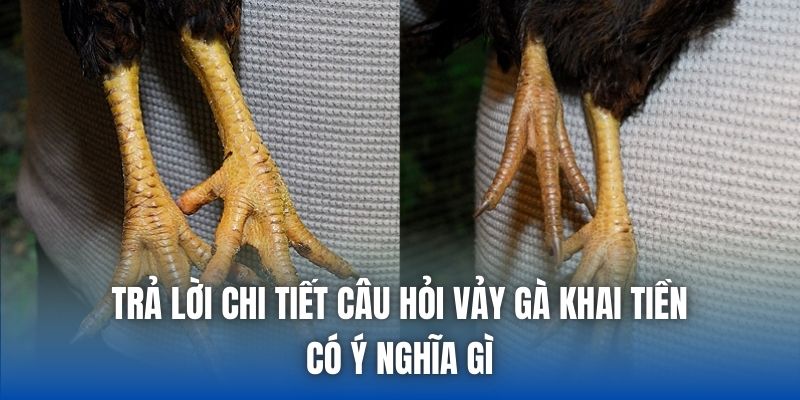 Trả lời chi tiết câu hỏi vảy gà khai tiền có ý nghĩa gì
