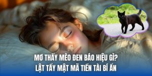 Mơ Thấy Mèo Đen Báo Hiệu Gì? Lật Tẩy Mật Mã Tiền Tài Bí Ẩn