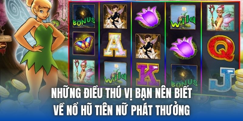 Những điều thú vị bạn nên biết về nổ hũ Tiên Nữ phát thưởng